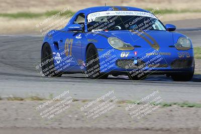 media/May-03-2024-PCA Central Coast (Fri) [[eaa7da0ee1]]/Red Group/Session 1 (Grapevine)/